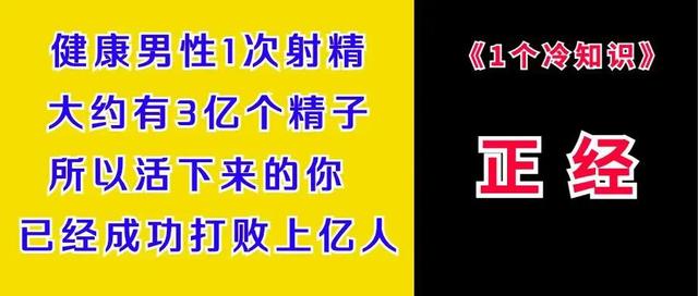 应该怎么样，应该怎么样去爱一个人？